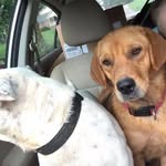 Kathy Todd Vick - @kathytodd11 - Instagram