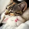 Kathy Vick - @kathy.vick8 - TikTok