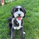 Kathy Vick Estes Holcomb - @erdocsmom2 - Instagram