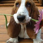 Kathy Vickers - @kathy.vickers.14 - Instagram