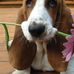 Kathy Vickers - Facebook
