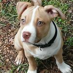 Kathy Vickers - @kathy.vickers.7568 - Instagram