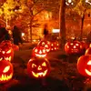 Kathy Vincent - @halloween5368 - TikTok
