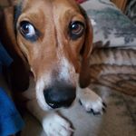 Kathy Vincent - @kathyvincent411 - Instagram