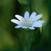 Kathy Vogel - Facebook