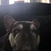 Kathy Wadsworth - @kathy.wadsworth - TikTok