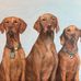 Kathy Wadsworth Fine Art - Facebook