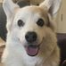 Kathy Korsen Wanamaker - Facebook