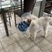 Kathy Ware - Facebook