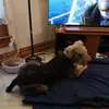 Kathy Rowe-Warnell - @kathy.rowewarnell - TikTok