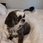 Kathy Warrington - Facebook