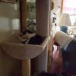 Kathy Wayne - @kathy.wayne - Instagram