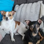 Kathy Wayne Moser - @kathywaynemoser - Instagram