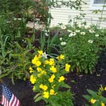 Kathie Weekley - @weekleykathie - Instagram