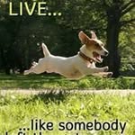 Kathy Dammeyer-weekley - @dammeyerweekley - Instagram