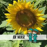 Kathy Dammeyer-weekley - @kathydammeyerweekley - Instagram