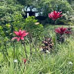 Kathy Weekley - @weekley993 - Instagram