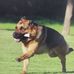 Kathy Wegner - Facebook