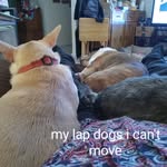Kathy Wegner - @kathy.wegner.58 - Instagram