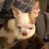 kathy wegner - @sunshine63happiness - TikTok