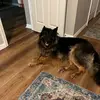 Kathy Weinstein - @suew693 - TikTok