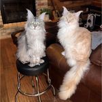 Kathy Herdina Weis - @kathyweis66 - Instagram