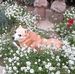 Kathy Weis - Facebook