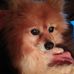 Kathy Wert - Facebook