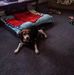 Kathy Wert - Facebook