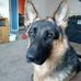 Kathy Wert - Facebook