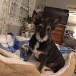 Kathryn Westerfield - @klwestrn - Instagram
