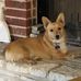 Kathy Westerfield Nelson - Facebook