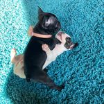 Kathy Provin Wetherbee - @m_mfrenchtonadventures - Instagram