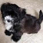 Kathy Wetzel - @murano7983 - Instagram