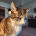 Kathy Wetzel Lorie - @kwetzlor - Instagram