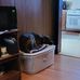 Kathy Whetzel - Facebook
