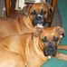 Kathy Whitehurst Tyson - Facebook