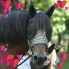 Kathy Wichman - @kathy.wichman - TikTok