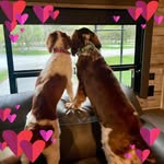 Kathy Wideman Neeb - @klneeb64 - Instagram