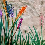 Kathy Willard - Facebook