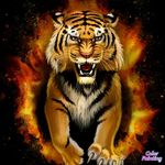 Kathy Willard - @kathywillard47 - Instagram