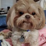 Kathy Willard - @kathy.willard - Instagram