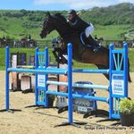 Kathy Willard - @willardequestrian - Instagram