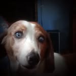 Kathy Willey - @kathy.willey.161 - Instagram