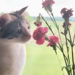 Kathy Willey - @kathleen.j.willey - Instagram
