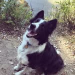 Katherine Wimer - @optimus_315 - Instagram