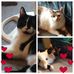 Kathy Winans - Facebook