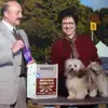 kathywingerd - @kathywingerd - TikTok