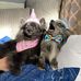 Kathy Winters - Facebook
