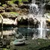 Kathy Winters - @kathy.winters2 - TikTok